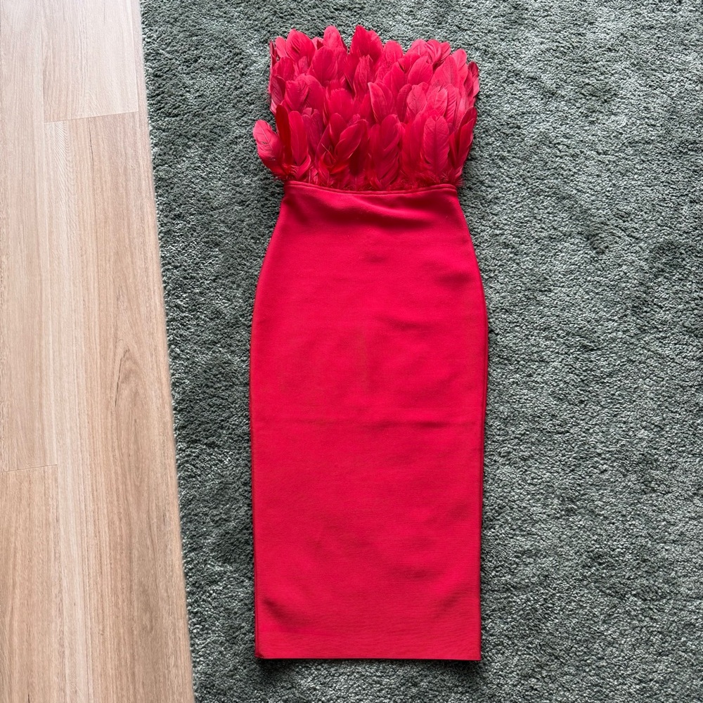 Red Feathered Dress